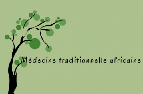 Article : Médecine traditionnelle africaine: un secteur à ressusciter